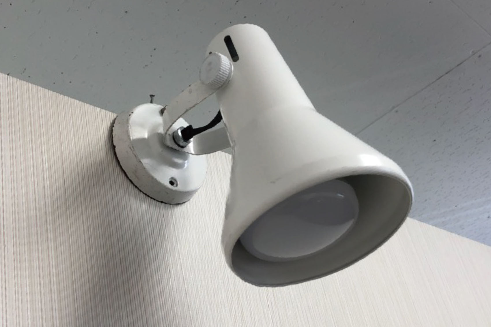 スポット LED(昼白色)